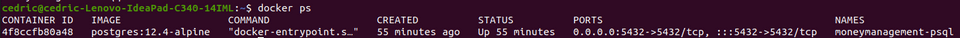 Docker ps result Docker ps result