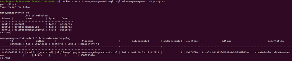 Liquibase verification